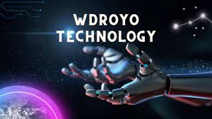 Wdroyo Technology Review