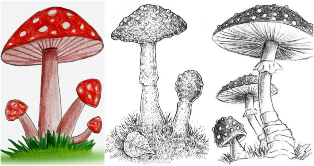 Whimsical Mushroom Illustrations: drawing:plcxcsjeqpq= mushroom